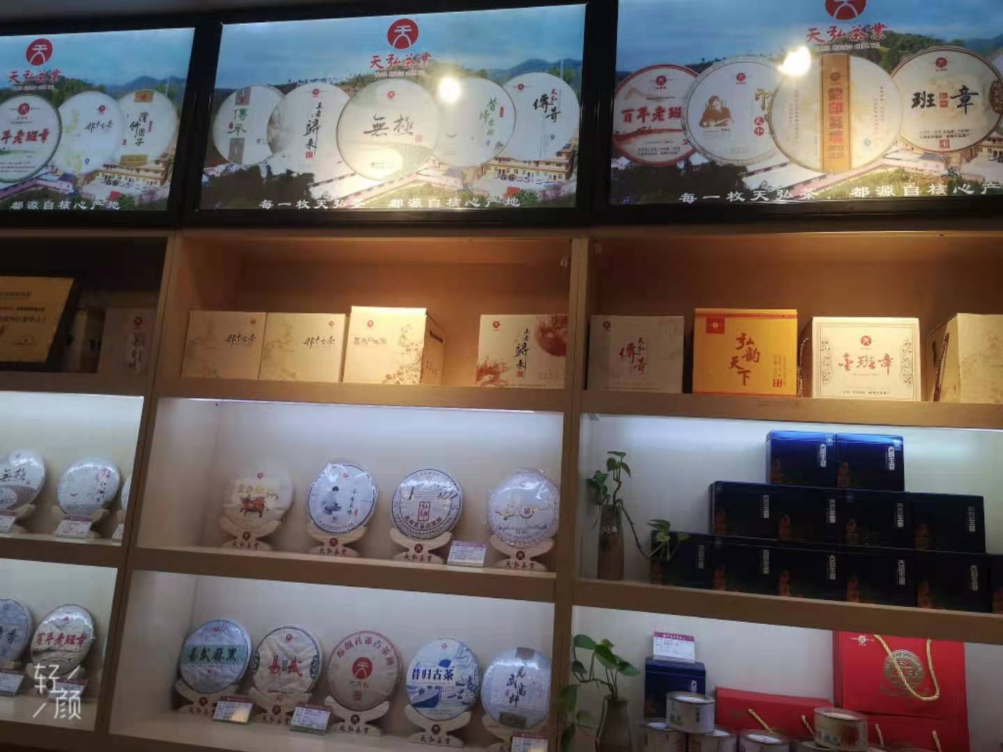天弘茶业最新报价与市场趋势分析