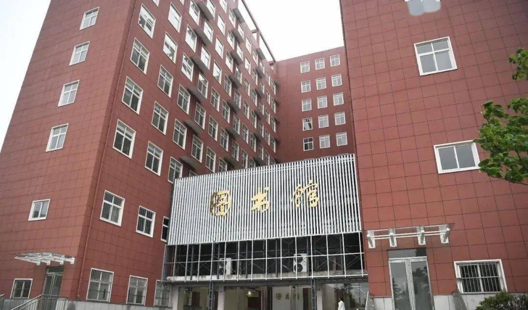 最新塔吊安装拆卸招聘，行业趋势与职业发展机遇