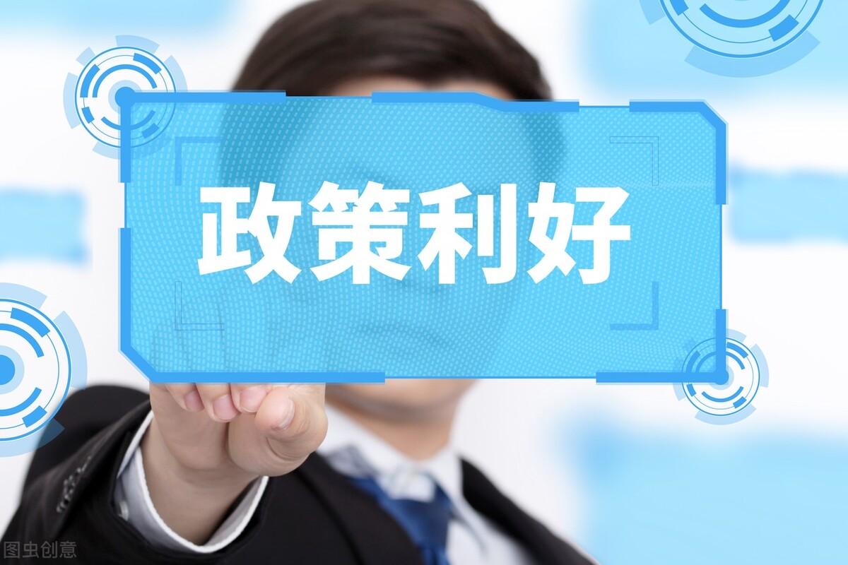 2025免费正版资料大全实用释义、解释与落实