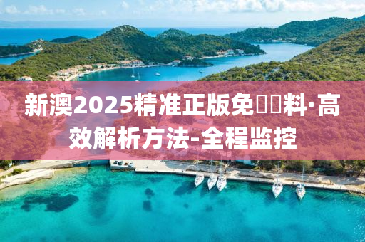 2025新澳精准正版免費資料全面释义、落实