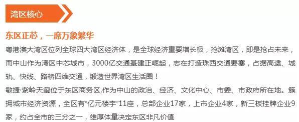 2025精准与澳门免费资料大全,详细解答、解释与落实