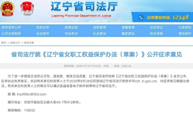 澳门与香港一码一肖一特一中详情,警惕虚假宣传-精选解析、落实与策略