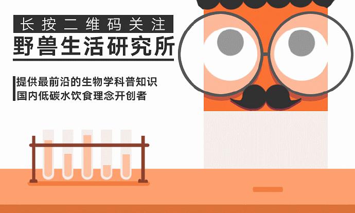 2025新澳门与香港资料正版大全的警惕虚假宣传、民主解答与解释落实