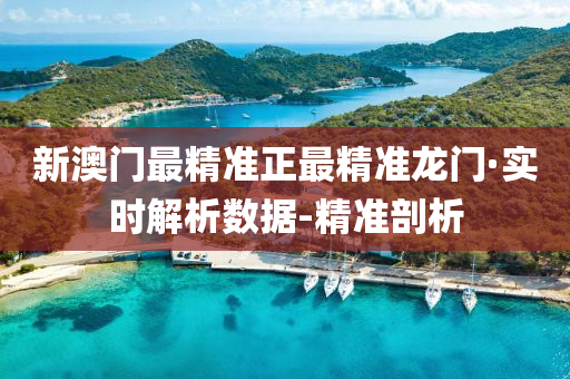 新澳最精准正最精准龙门,详细解答、解释与落实