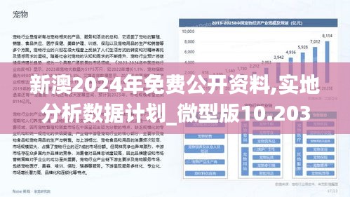 新澳2025年正版资料,详细解答、解释与落实