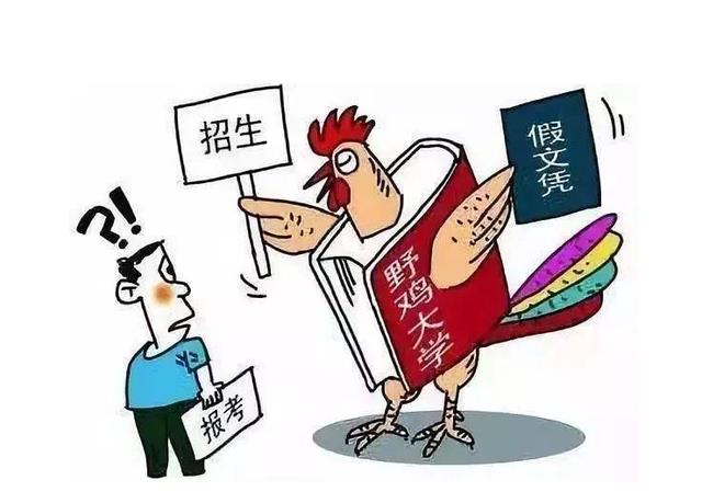 新奥精准免费提供港澳彩.警惕虚假宣传-精选解析解释落实
