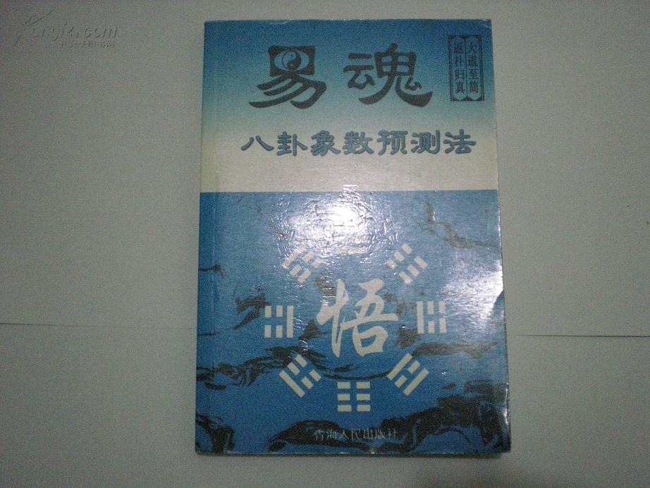 易魂最新视频大全