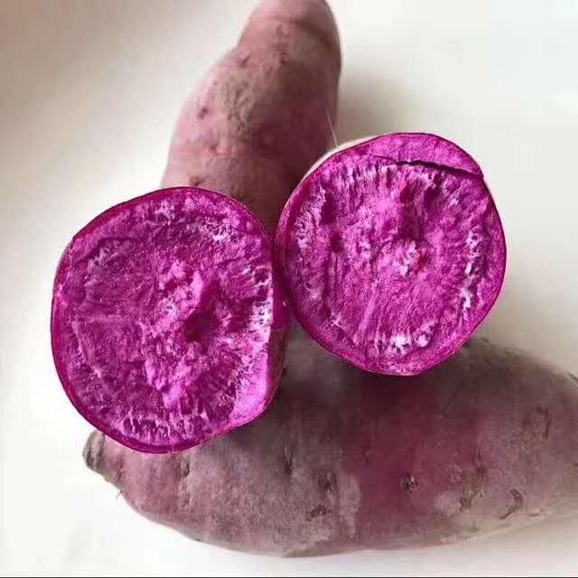 紫薯价格最新行情